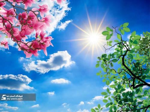 سقف کاذب آسمان مجازی کد 10604