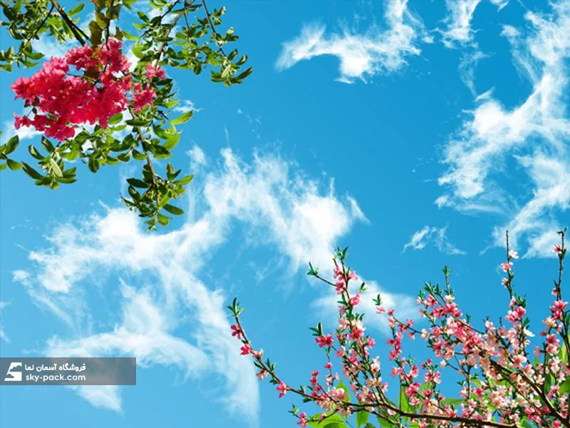 سقف کاذب آسمان مجازی کد 10551