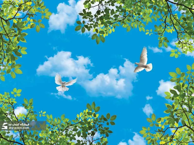 سقف کاذب آسمان مجازی کد 10532