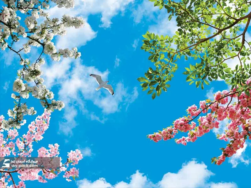 سقف کاذب آسمان مجازی کد 10362