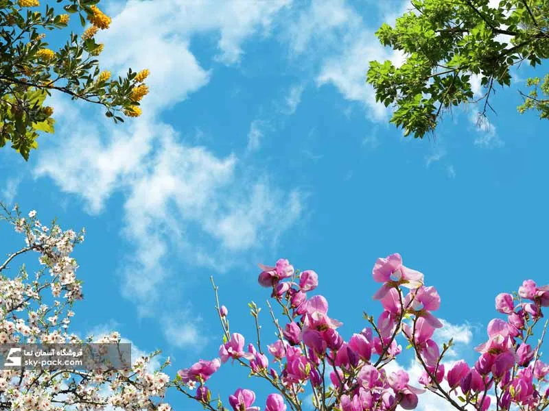 سقف کاذب آسمان مجازی کد 10101