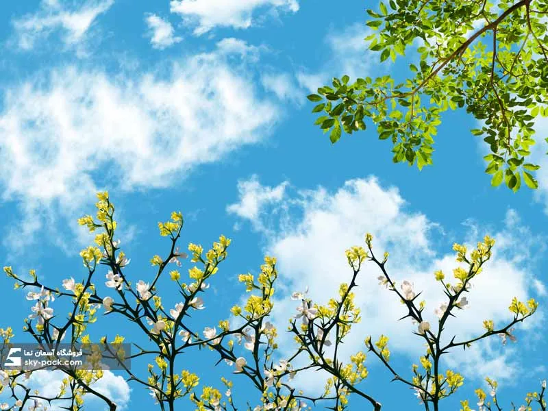 سقف کاذب آسمان مجازی کد 10107