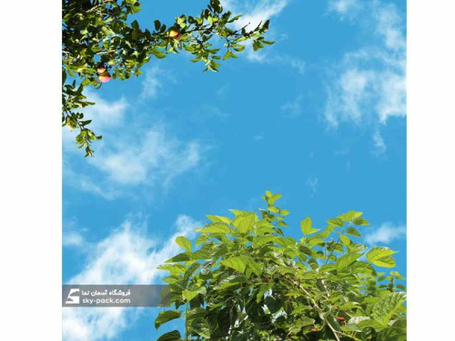 سقف کاذب آسمان مجازی کد 10131