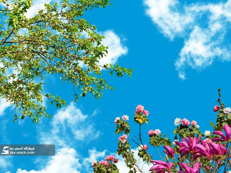سقف کاذب آسمان مجازی کد 10148
