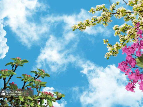 سقف کاذب آسمان مجازی کد 10149