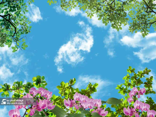 سقف کاذب آسمان مجازی کد 10155