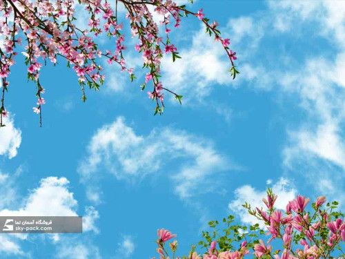 سقف کاذب آسمان مجازی کد 10160
