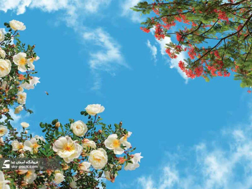 سقف کاذب آسمان مجازی کد 10163