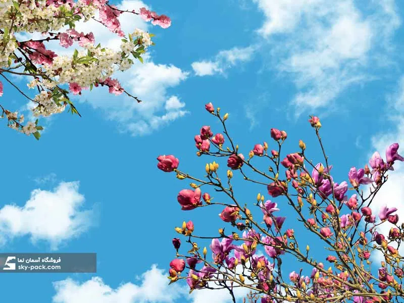 سقف کاذب آسمان مجازی کد 10165