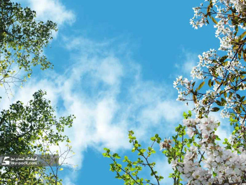 سقف کاذب آسمان مجازی کد 10179