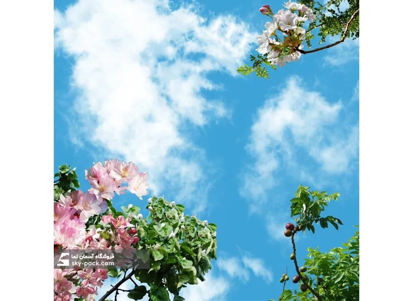 سقف کاذب آسمان مجازی کد 10183