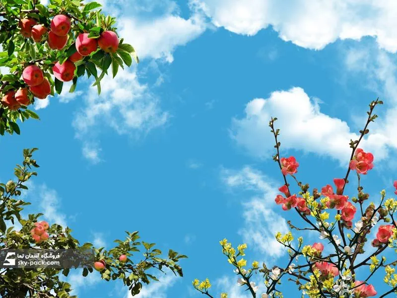 سقف کاذب آسمان مجازی کد 10219