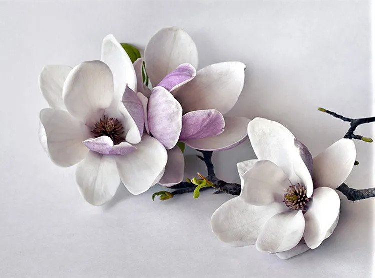 پوستر دیواری سه بعدی کد 347131